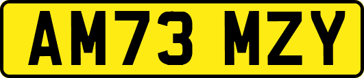AM73MZY