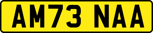 AM73NAA
