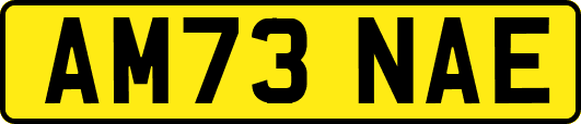 AM73NAE