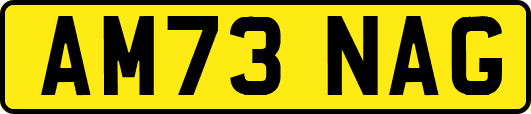 AM73NAG