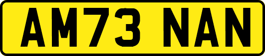 AM73NAN