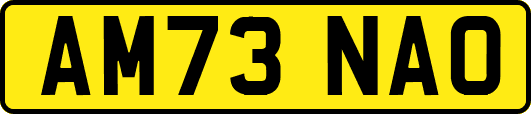 AM73NAO