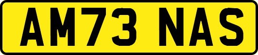 AM73NAS