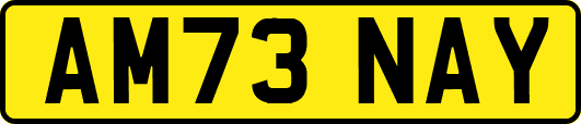AM73NAY