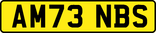 AM73NBS