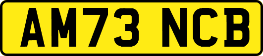 AM73NCB