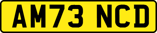 AM73NCD