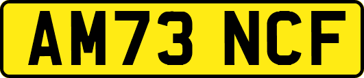 AM73NCF