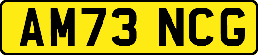 AM73NCG