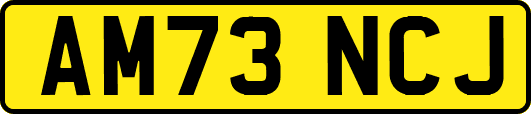 AM73NCJ