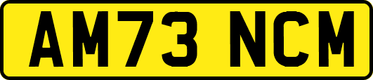 AM73NCM