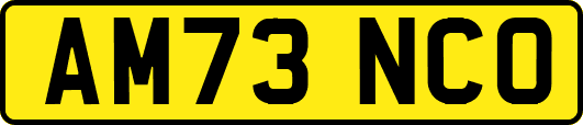 AM73NCO