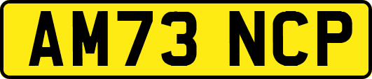 AM73NCP