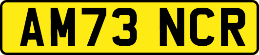 AM73NCR
