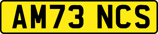 AM73NCS