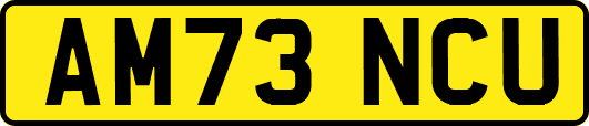 AM73NCU