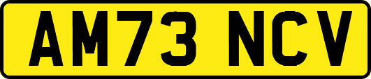 AM73NCV