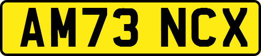 AM73NCX