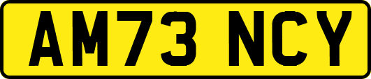 AM73NCY