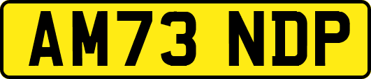AM73NDP