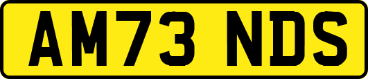 AM73NDS