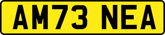 AM73NEA