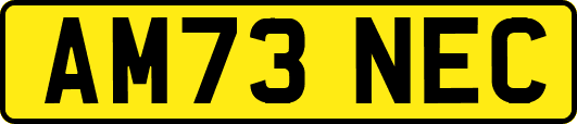 AM73NEC