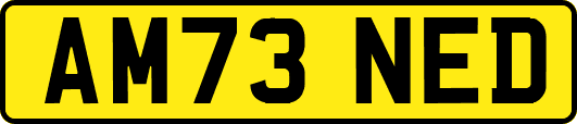 AM73NED