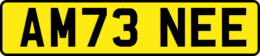 AM73NEE