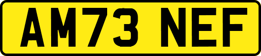 AM73NEF