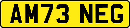 AM73NEG