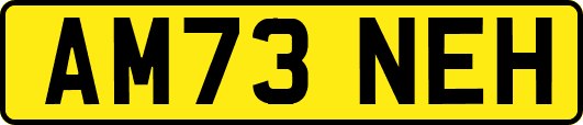 AM73NEH