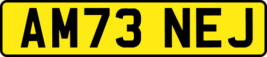 AM73NEJ