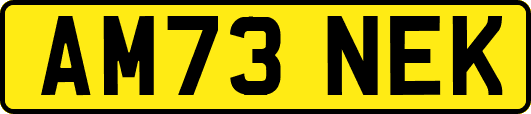 AM73NEK