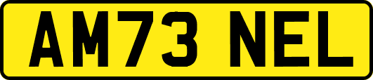 AM73NEL