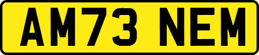 AM73NEM