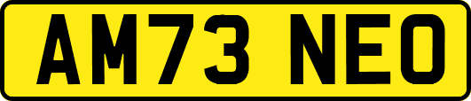 AM73NEO
