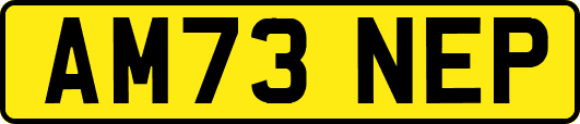 AM73NEP