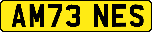AM73NES