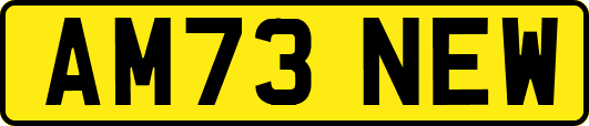AM73NEW