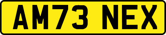 AM73NEX