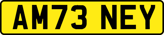 AM73NEY
