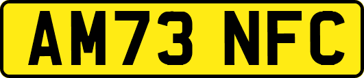 AM73NFC
