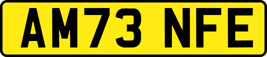 AM73NFE