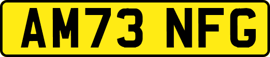AM73NFG