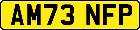 AM73NFP
