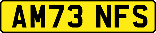 AM73NFS