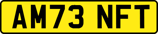 AM73NFT