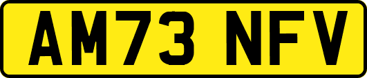 AM73NFV