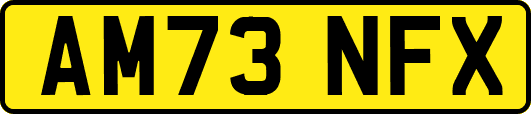 AM73NFX